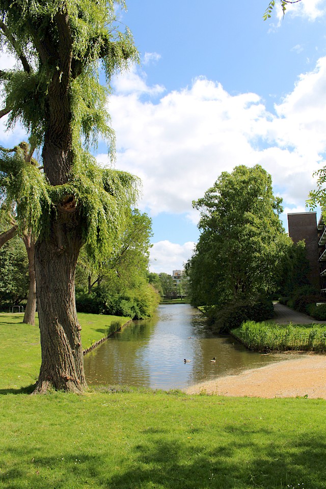 allard architecture • Medical Centre Lindenlaan 