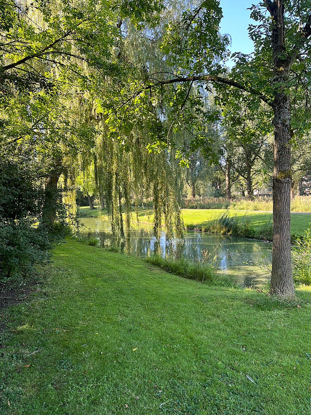 allard architecture • Medical Centre Lindenlaan 