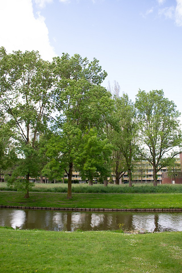allard architecture • Medical Centre Lindenlaan 